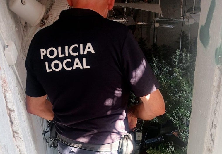 Descubren una plantación de marihuana tras el incendio de una vivienda en Pinos Puente